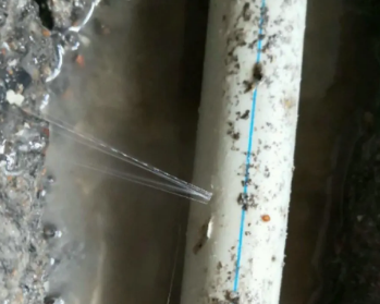 新建卫生间测漏水多少钱
